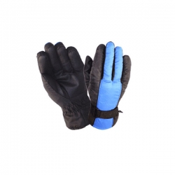 Ski Gloves